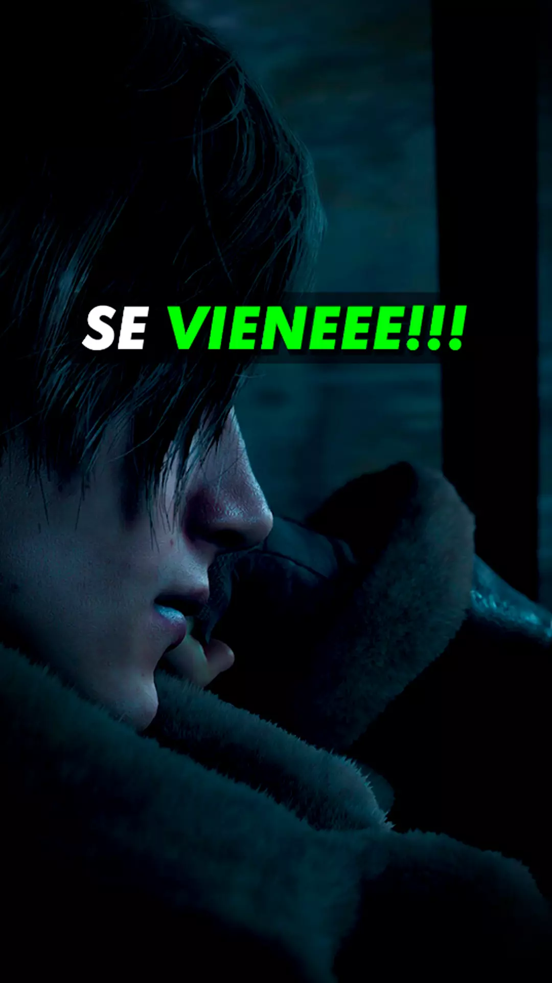 imagen 004